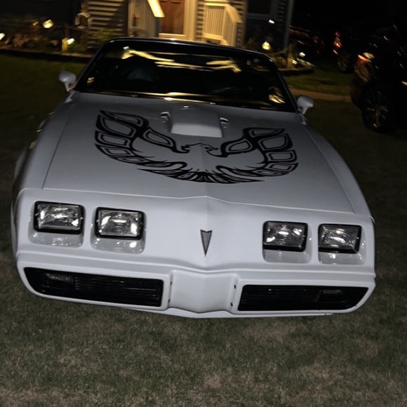 Meet your Posher, Dylan - Picture 1 of 1